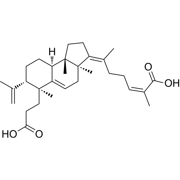 Kadsuracoccinic acid A 1016260-22-2